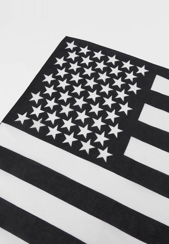 Stars & Stripes-1