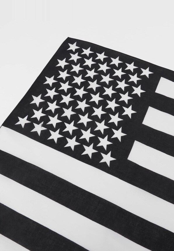 Stars & Stripes-1