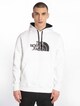 The North Face Drew Peak Hoodie-2