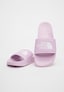 violet_105230