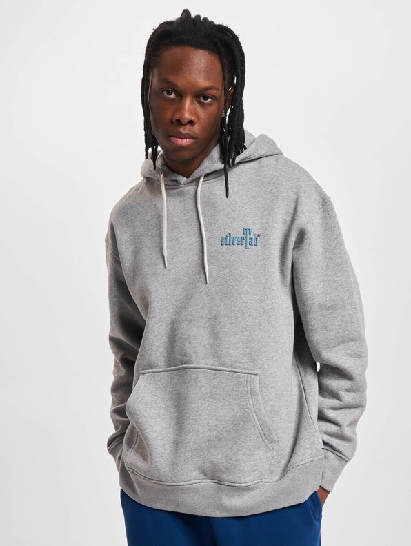 Levis Relaxed Graphic Hoodie-2