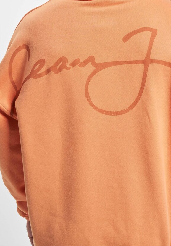 JM233-002-1 SJ Script Logo Backprint Peached Hoodie-5