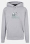 grey_105816