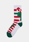 multicolor_4123