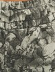 Marble Basic -4