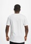 white_18260