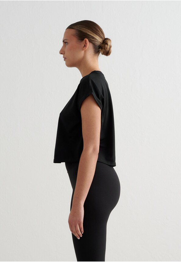 Soft Basic-2
