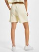 Sully High Waisted-1