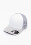 silver_41549