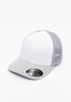 silver_41549