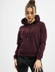 Ladies -2