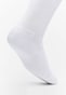 white_31643