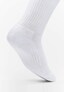 white_31643