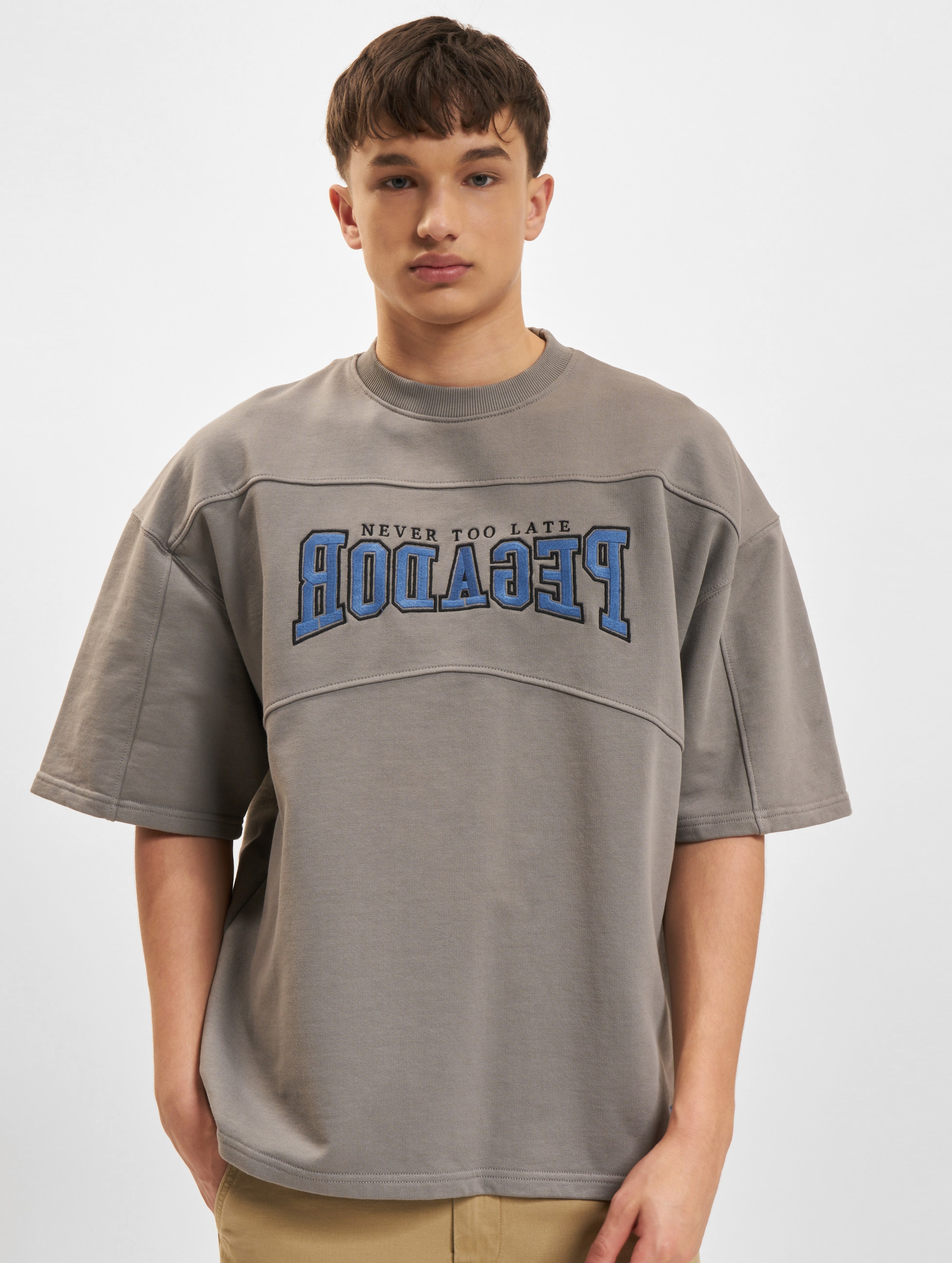 PEGADOR Beech Terry Boxy T-Shirt Mannen op kleur grijs, Maat L