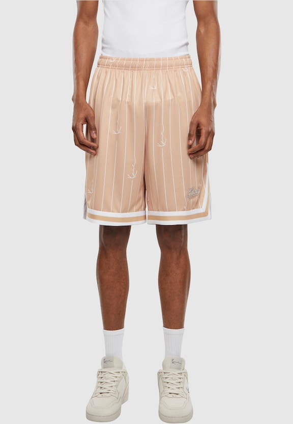 KM242-012-1 Karl Kani Small Varsity Logo Pinstripe Mesh Shorts-1