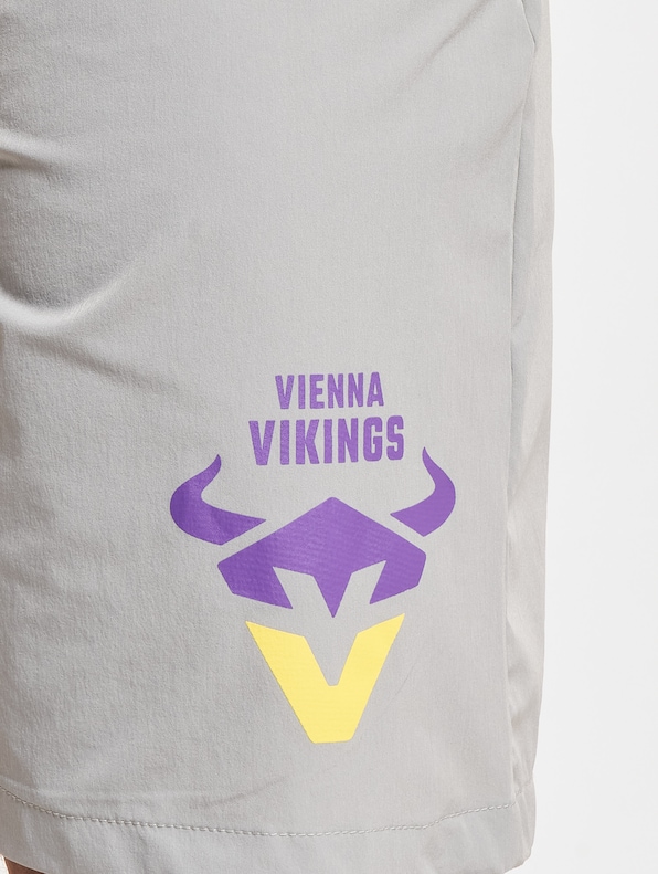 Vienna Vikings 2-5