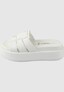 white_142029