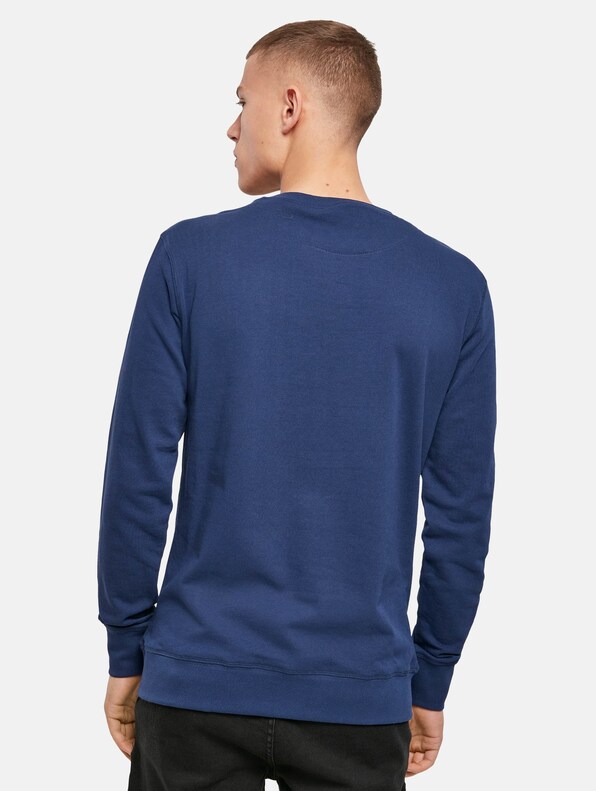 Light Crew Sweatshirt-1