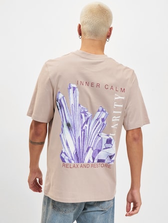 Jack & Jones Gemstone Crew Neck T-Shirt