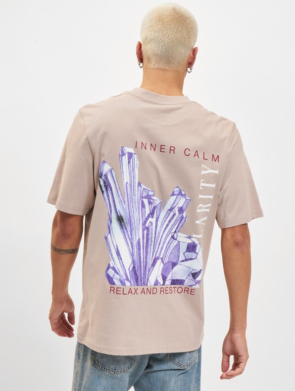 Jack & Jones Gemstone Crew Neck T-Shirt-0