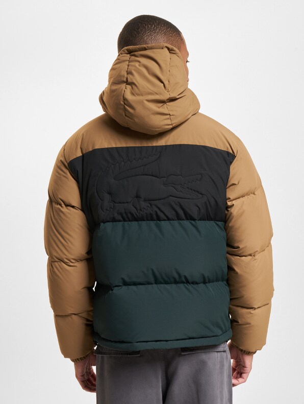 Lacoste Colorblock Daunenjacke-1