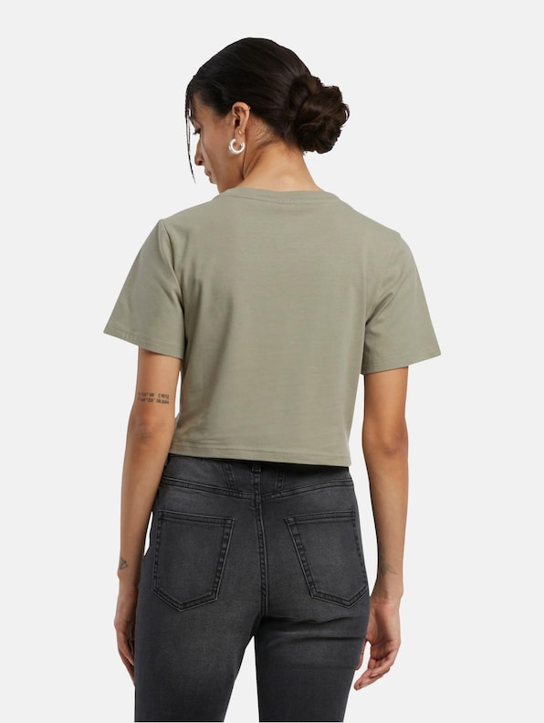 Ladies Cropped Tee-1