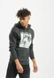 grey_19045