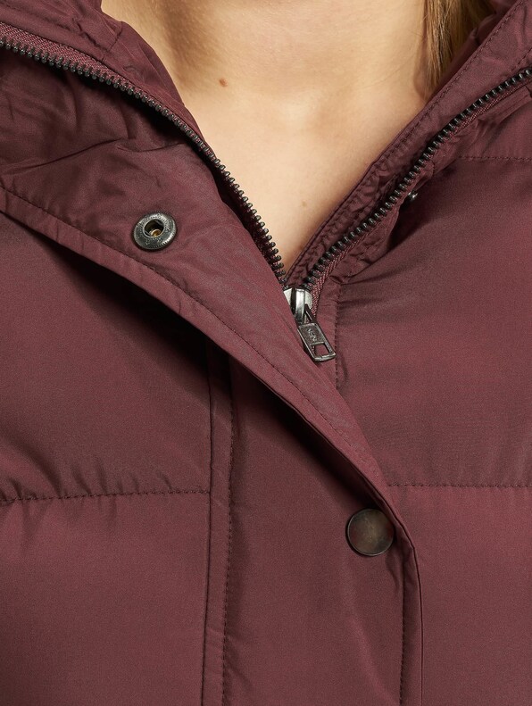Ladies Hooded -3
