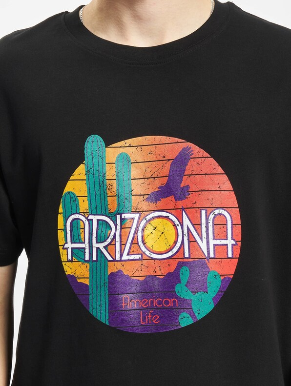 American Life Arizona-3