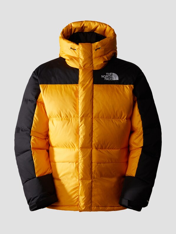 The North Face Hmlyn Down Parkas-3