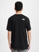 Simple Dome -1