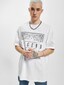 white_66789