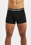black_55203