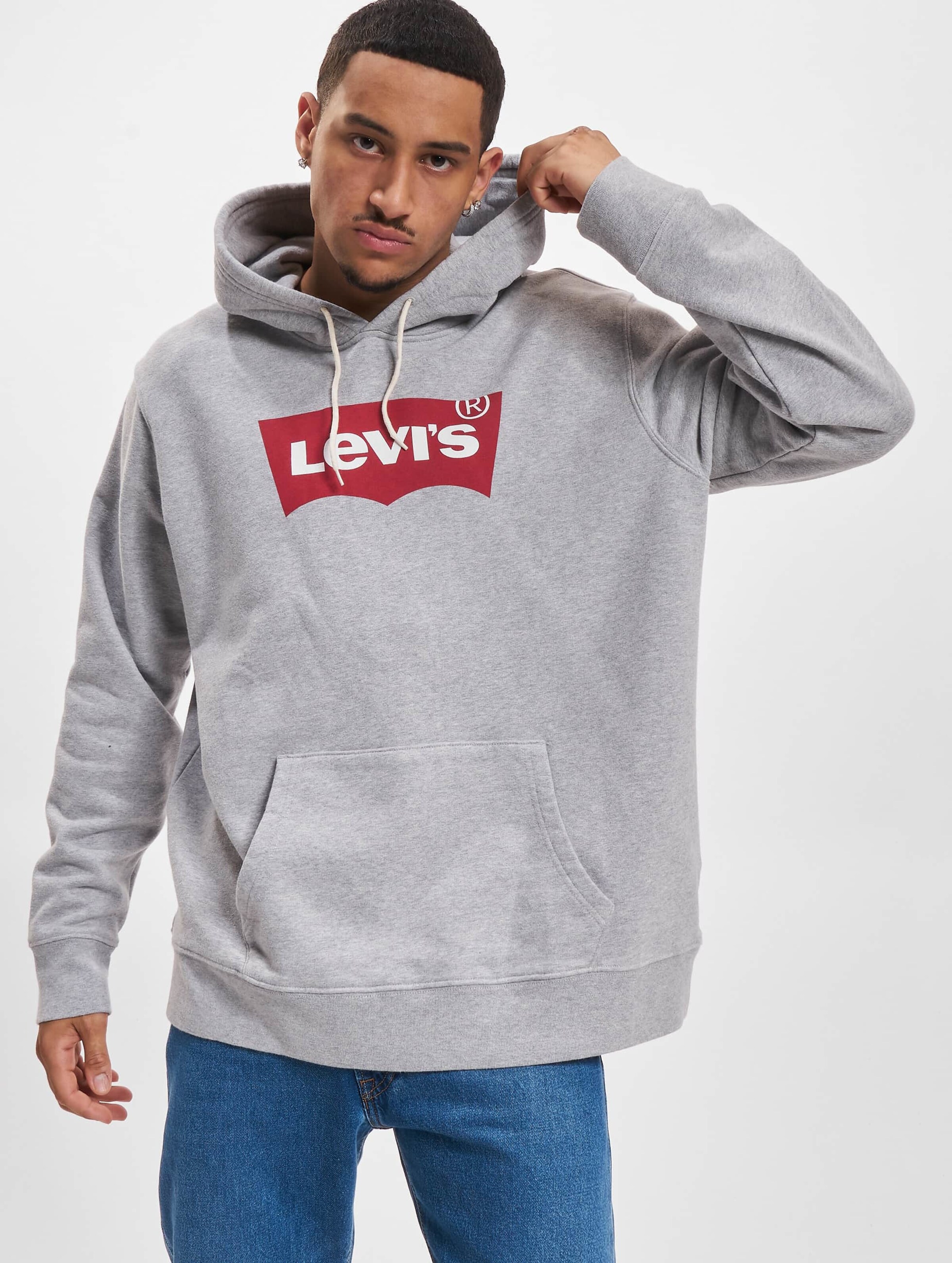 Levis hot sale grey hoodie