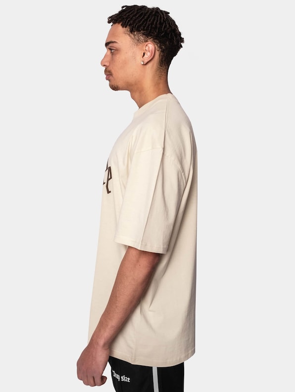 Dropsize Heavy Oversize White Logo Puffer Print T-Shirt-1
