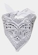 Bandana 3-Pack-1