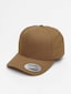 brown_40468