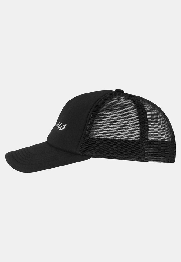 PEQUS Logo Cap-1