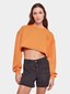 orange_3862