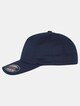 5 Panel -3