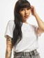 white_56543