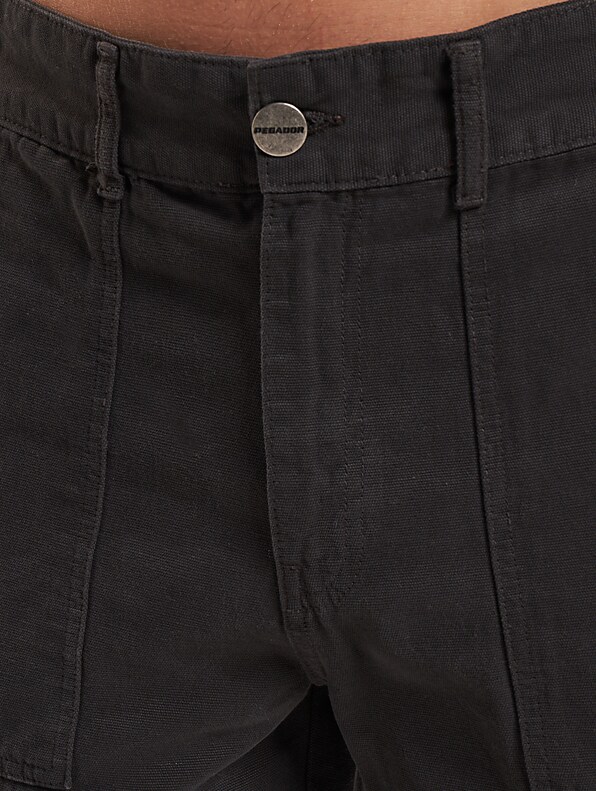 Pegador Tayls Cargo Pants-3