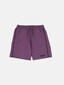 violet_149823