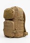 brown_126213