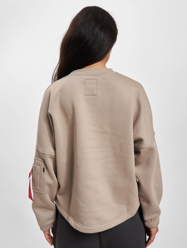 Alpha Industries Pullover-1