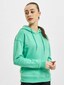 multicolor_9767