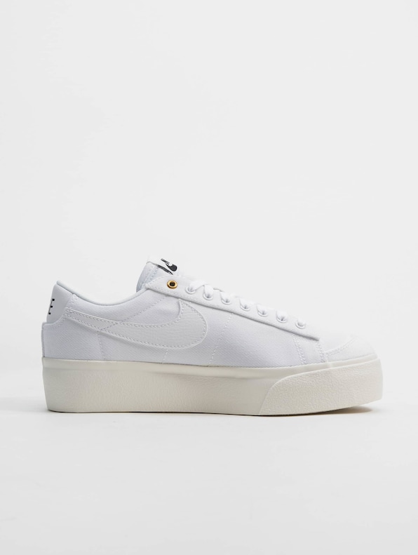 Blazer Low Platform Cnvs-3