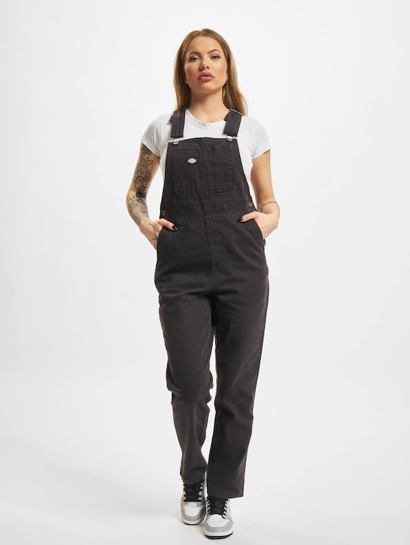 Dickies Duck Canvas SW Dungaree-4