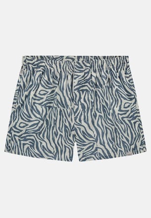 Blue Zebra