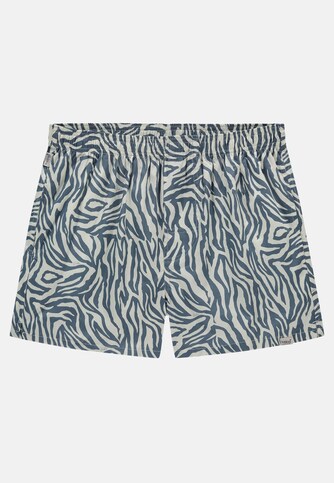 Blue Zebra